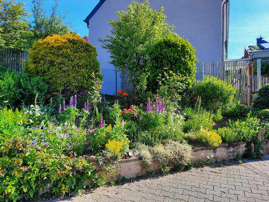 Gartenanlage 5