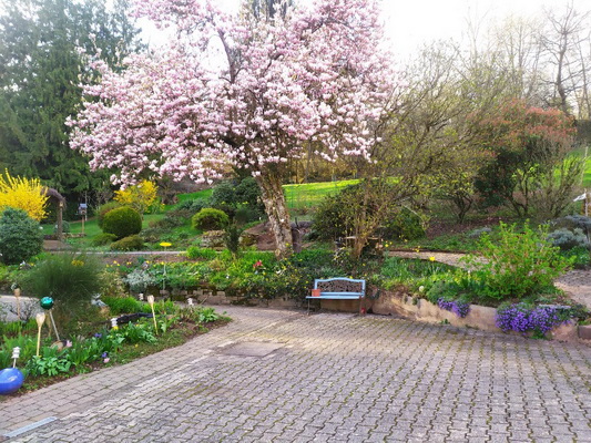 Gartenanlage 6
